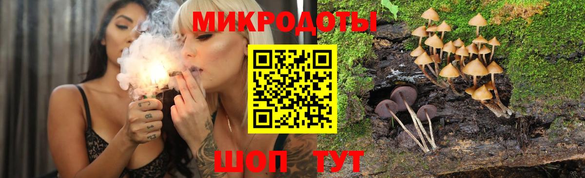 Псилоцибиновые грибы прущие грибы Раменское